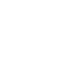 security img